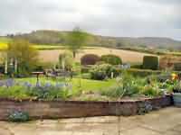 View of the downs from the garden